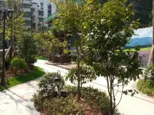 龙溪镇 欣光松宿一房66万