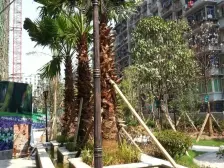 龙溪镇 欣光松宿二房76万