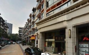 锦上花3室1厅东南