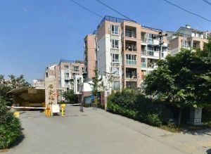 居家福地2室1厅东南
