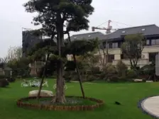 奉贤新城天花板,上海之鱼旁,三轨交覆盖,低总价