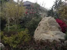 南俯瞰整个上海之鱼北面俯瞰整个生态公园面水背山