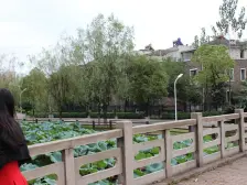 然梦园小高层两房两厅一厨一卫,南北通透光线好