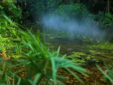 中铁 电梯花园洋房 顶跃 轻轨站200米