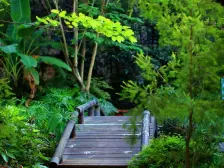 茶园新区 中铁北美时光(F组团)一房