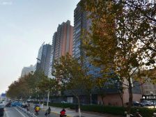 晏园凤凰汇 2室2厅 南