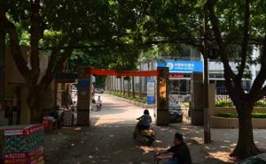 人民公园,电梯朝南大三房,接小孩不过马路