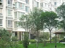 此房源满五年,一楼出行方便,南北无遮挡