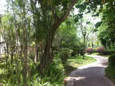 电梯洋房 一梯两户 全明四房 均价低