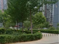 顶层复式,南北通透4室,自住精装修,火车站西广场