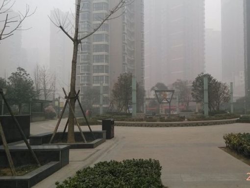 Õû×⡤ÌìÂ×Ë®¾§³Ç 2ÊÒ2Ìü ÄÏ/±±