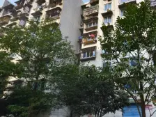 丁家坝优质房屋出售,精装修,拎包入住