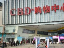 CBD 盛世 精装四房 拎包入住