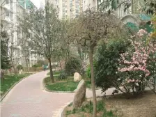 永威翰林居 1室1厅 东南