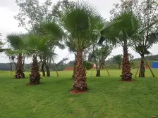 贤达凤凰湖国际社区 4室2厅 南