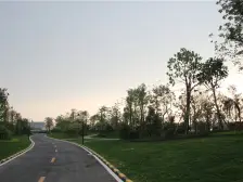 双拼别墅 业主诚心出售 三面采光 随时可签