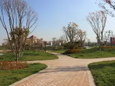 大名墅 毛坯房 产权清晰 随时看