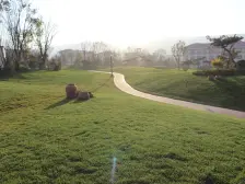 兰州高新区庭院别墅带前后花园带车位带露台带地下室