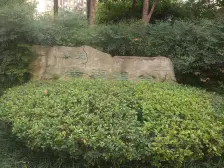 幸福雅舍小区 2室1厅 东南