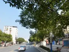 欣映像 4室1厅 东南 南