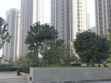 正弘蓝堡湾一期 百米楼间距 大四房 满五唯一