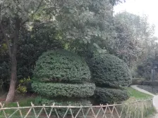 阿卡迪亚平层顶楼复式,业主诚心出售可谈价