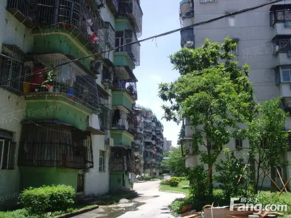 紫荆园