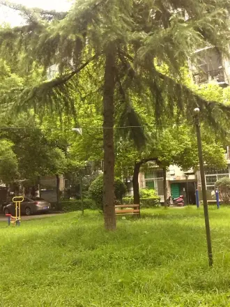 青教花园