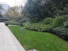 东棠中间楼层纯南两房,业主诚心卖 聚源路总校+96