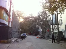 南阳路 双地铁,05年!经典大2房!婚房、双气!采光好