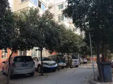 茜城社区 3室2厅 南 北