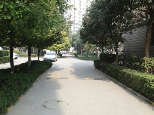 ·áÇì¼ÑÔ·1ÊÒ1Ìü1ÎÀÄϳ¯Ïò1100.00Ôª/Ô³ö×â