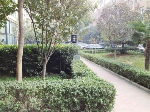 ·áÇì¼ÑÔ· 1ÊÒ 1Ìü 46ƽÃ×