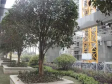 户型好,精装修自住 潜力小区 环境好 看房方便