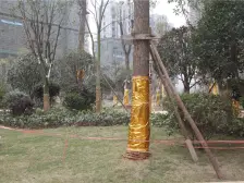 朝阳天成 南北通透,采光好 视野好,诚心出售