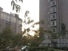 精装朝南大两居室 中间楼层 视野好 采光好