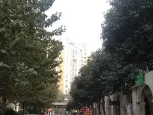 绿洲花园1号院 3室2厅 东 南 北