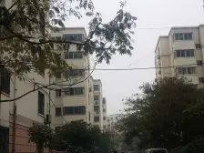 农业路桐柏路 双气小两房 首付11万 月供两千多