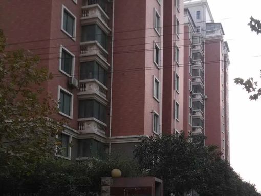 Õû×⡤¿Æ¼¼Êг¡¡¤Ã×À¼Ñô¹â¡¤1ÊÒ