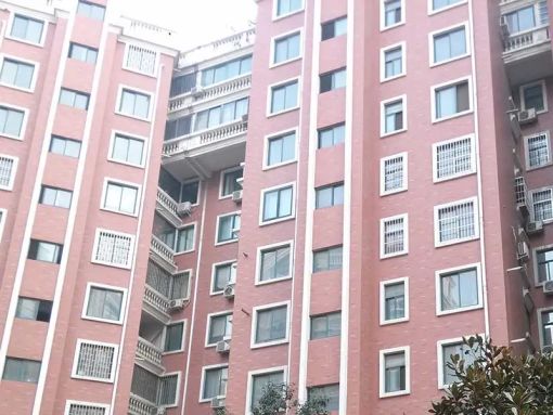 Ã×À¼Ñô¹â 1ÊÒ 1Ìü 53.65ƽÃ×