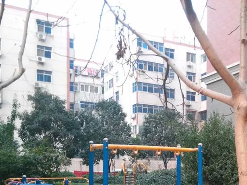 Ã×À¼Ñô¹â1ÊÒ1Ìü1ÎÀÄϳ¯Ïò1000.00Ôª/Ô³ö×â