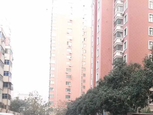 Ã×À¼Ñô¹â1ÊÒ1Ìü1ÎÀÎ÷³¯Ïò1000.00Ôª/Ô³ö×â