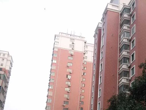 Ã×À¼Ñô¹â 1ÊÒ 1Ìü 40ƽÃ×