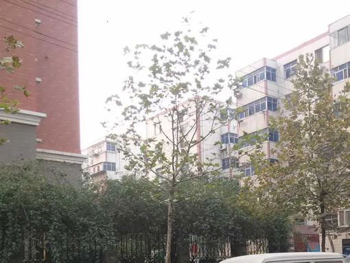 Ã×À¼Ñô¹â1ÊÒ1Ìü1ÎÀÄϳ¯Ïò1100.00Ôª/Ô³ö×â