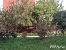 郑东龙湖花园下叠别墅,带院带车位,诚意出售欢迎来电