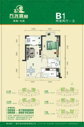 万兴壹号