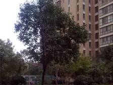 南北通透户型好;实际面积多;户型方正