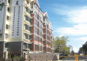 地恒春天套三双卫毛坯带阁楼公摊小采光好