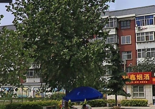 Õû×⡤˫ÐËÐ¡Çø 2ÊÒ2Ìü ÄÏ