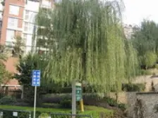 带露台屋顶花园老洋房2+1顶跃4房优质装修